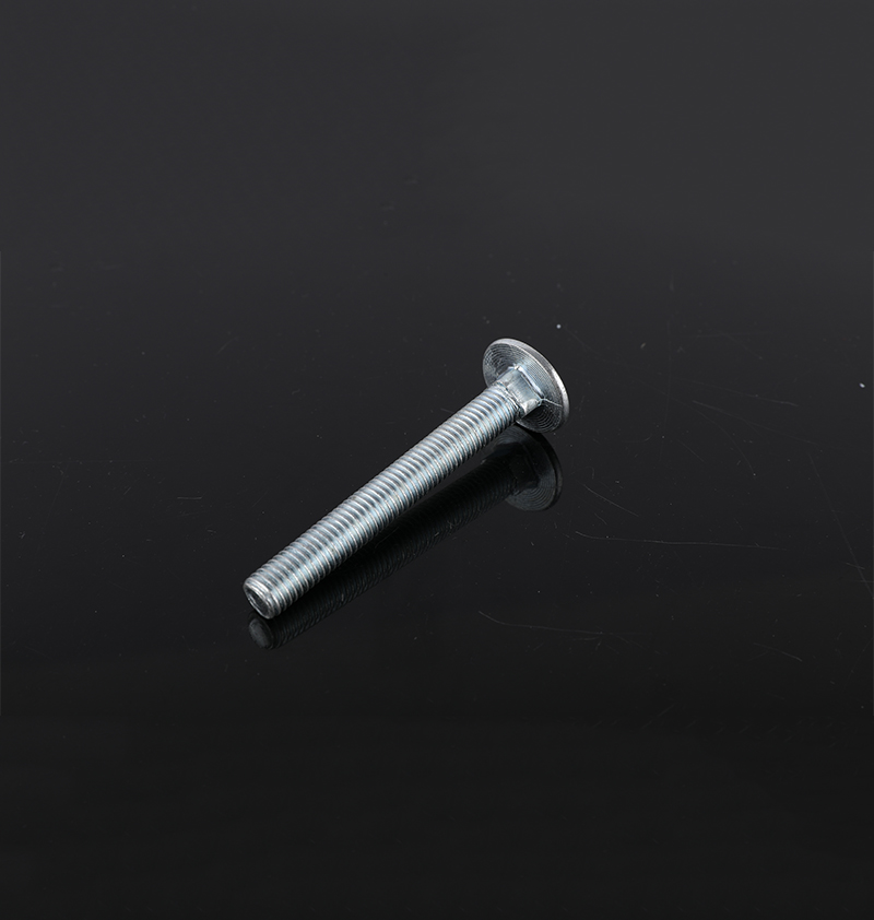 Carriage bolt