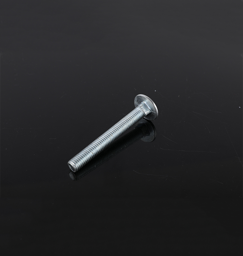 4.8 DIN603 ZINC CUP HEAD SQUARE NECK BOLT